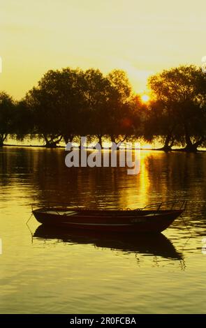 Leeres Boot auf dem Rhein, Oestrich-Winkel, Hessen, Deutschland Stockfoto