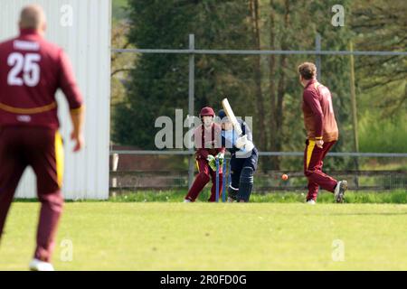 Bronwydd CC / Britton Ferry CC 2023 Stockfoto