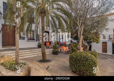 Außenterrasse mit Palmen der Pizzeria El Castell in der Altstadt, Plaza Tonico Ferrer, Altea, Alicante, Spanien, Europa, Europa Stockfoto