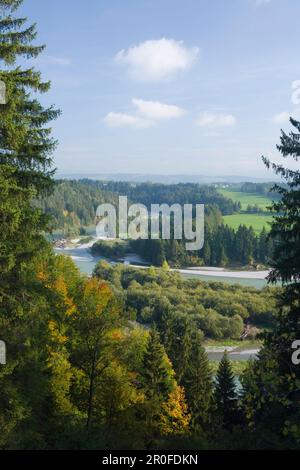 Der Fluss Lech und der umgebende Wald in der Nähe von Schongau, Allgaeu, Oberbayern, Bayern, Deutschland Stockfoto