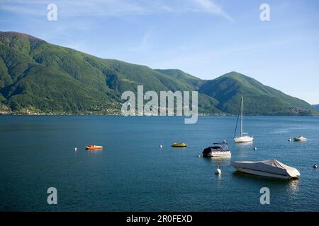 Verankerte Boote auf dem Lago Maggiore, mit Bergen im Hintergrund, Ascona, Tessin, Schweiz Stockfoto