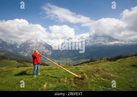 Ein Mann spielt ein Alphorn in Bussalp (1800 m), Grindelwald, Berner Oberland (Hochland), Kanton Bern, Schweiz Stockfoto