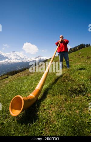 Ein Mann spielt ein Alphorn in Bussalp (1800 m), Grindelwald, Berner Oberland (Hochland), Kanton Bern, Schweiz Stockfoto