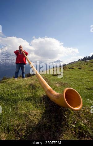 Ein Mann spielt ein Alphorn in Bussalp (1800 m), Grindelwald, Berner Oberland (Hochland), Kanton Bern, Schweiz Stockfoto