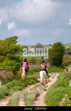 Zwei Reiter im South Downs National Park, West Sussex, Südengland, Großbritannien. Stockfoto