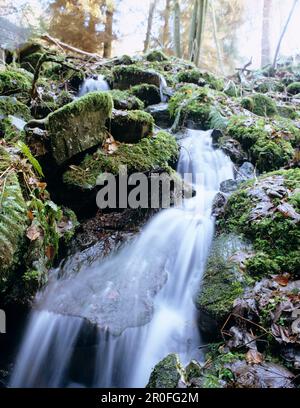 Wasserfall, Eifel, Nordrhein-Westfalen, Deutschland Stockfoto