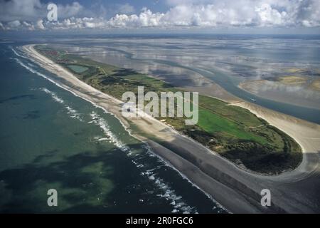 Juist Island, Ostfriesische Insel, Niedersachsen, Deutschland Stockfoto