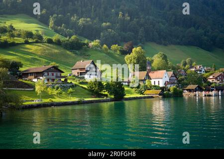 Blick über den Vierwaldstättersee bis zum Dorf, Dorf Kehrsiten, Kanton Luzern, Schweiz Stockfoto