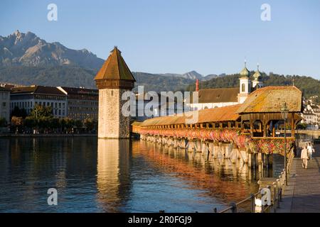 Fluss Reuss mit Kapellbrücke (älteste überdachte Brücke Europas) und Wasserturm, Jesuitenkirche, erstes großes sakrales Barockgebäude in S. Stockfoto