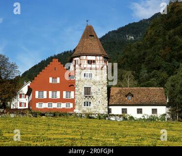 Europa, Liechtenstein, Vaduz, Rothaus, Weinberge Stockfoto