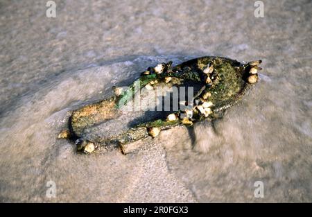 TA, Thailand, Krabi, Railay Beach Stockfoto