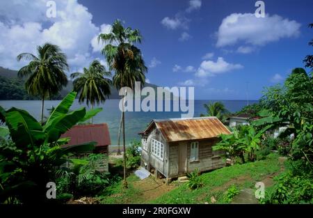 Mann der Kriegsbucht, Charlotteville, Tobago, Karibik Stockfoto