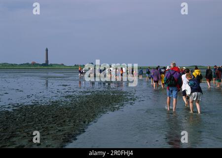 Touristen Schlammwanderung, Norderney, Ostfriesische Inseln, Niedersachsen, Deutschland Stockfoto