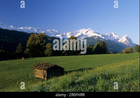 Scheune auf Wiese, schneebedeckte Wetterstein Range im Hintergrund, Garmisch-Partenkirchen, Oberbayern, Bayern, Deutschland Stockfoto