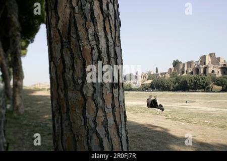 Ein Paar, das auf dem Gras sitzt, Palatino, Circus Maximus, Rom, Italien Stockfoto