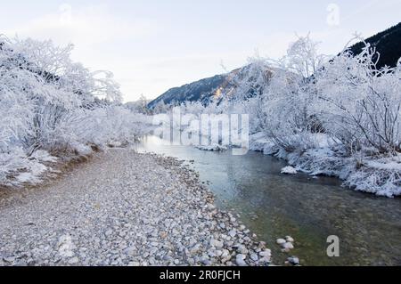 Rissbach im Winter, Hinterriss, Tirol, Österreich Stockfoto