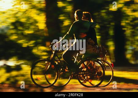 Radfahrer im Herbstgarten, München, Bayern, Deutschland Stockfoto