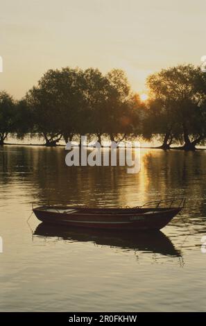 Boot auf dem Rhein bei Sonnenuntergang, Oestrich-Winkel, Rheingau, Hessen, Deutschland, Europa Stockfoto