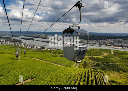 Luftaufzug über Weinbergen, Rüdesheim, Rheingau, Hessen, Deutschland Stockfoto