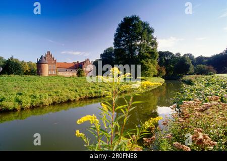 Burg Moated, Herten, Nordrhein-Westfalen, Deutschland Stockfoto