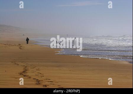 Am Strand von Le Porge-Océan, Dept Gironde, Frankreich Stockfoto