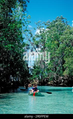 Kanufahren im Three Sisters Manatee Sanctuary, USA, Florida, Crystal River Stockfoto