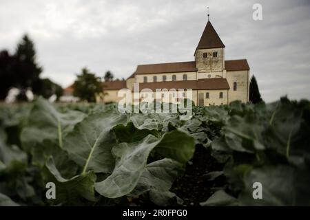 St. George's Church, Oberzell, Reichenau Island, Baden Wurttemberg, Deutschland Stockfoto