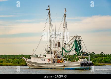 Country Girl Shrimp Boot fährt nach Hause, 2. Mai 2023, in Bayou La Batre, Alabama. Stockfoto