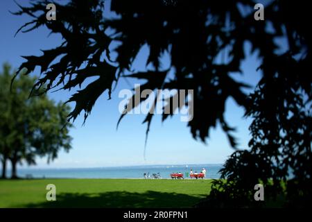 Promenade am Bodensee, Arbon, Kanton Thurgau, Schweiz Stockfoto