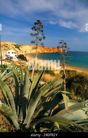 Portugal Algarve Atlantikc Küstenstrand Praia de Mareta Sagres Stockfoto