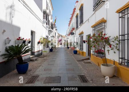 Chipiona, Cadiz, Spanien - 19. April 2023: Schöne Straße mit Blumentöpfen in Chipiona, Andalusien, Südspanien. Stockfoto