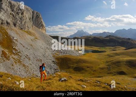 Junge Frau mit Blick auf den Großen Fossessee und Tofana im Hintergrund, Alta Via delle Dolomiti Nr. 1, Parco Naturale Fanes-SE Stockfoto