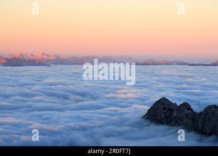 Berg-Scheffauer über Nebelbank, Karwendel und Wettersteingebirge im Hintergrund, Ellmauer Halt, Kaiser Bereich, Tirol, Österreich Stockfoto