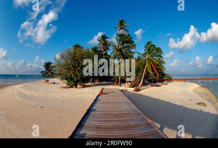 Malediven, Malediven, Indischer Ozean, Medhufushi, Meemu-Atoll Stockfoto