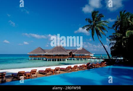 Pool und Strandbar auf Malediven, Malediven, Indischer Ozean, Medhufushi, Meemu Atoll Stockfoto