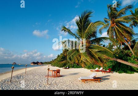 Malediven Strand, Malediven, Indischer Ozean, Medhufushi, Meemu Atoll Stockfoto