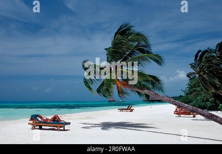 Strand auf Malediven, Malediven, Indischer Ozean, Medhufushi, Meemu-Atoll Stockfoto