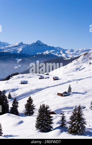 Blick über die Winterlandschaft mit schneebedeckten Berghütten, zuerst Grindelwald, Berner Oberland, Kanton Bern, Die Schweiz Stockfoto