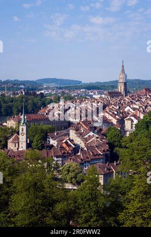 Ansicht der alten Stadt von Bern her Kirche und Kathedrale, Berner Münster im Hintergrund, Bern, Schweiz Stockfoto