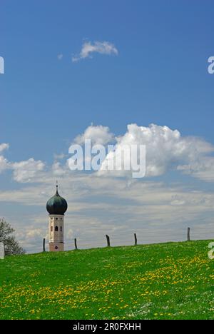 Blick über die Löwenwiebelwiese bis zum barocken Turm, Oberbayern, Bayern, Deutschland Stockfoto