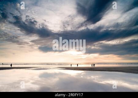 Personen, die zu Fuß durch Watt, St. Peter-Ording, Schleswig-Holstein, Deutschland Stockfoto