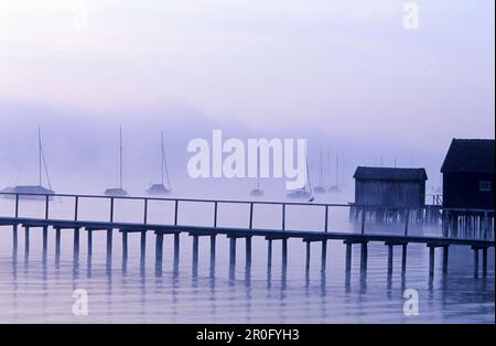 Segelboote im Nebel auf dem Ammersee, nahe Riederau, Diessen am Ammersee, Bayern, Deutschland Stockfoto