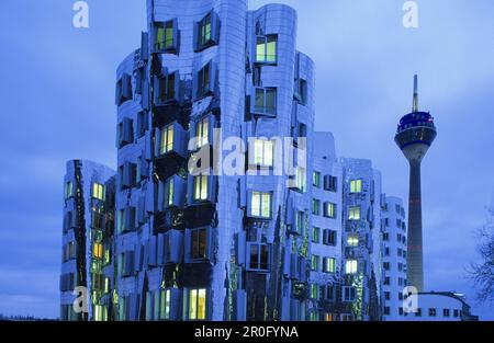 Gehry-Bauten, Neuer Zollhof Rheinturm Im Hintergrund, Medienhafen, Düsseldorf, Nordrhein-Westfalen, Deutschland Stockfoto