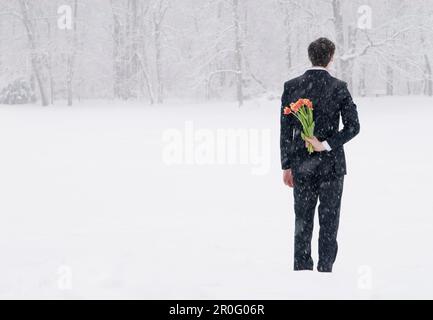 Geschäftsmann in einem Schneesturm, der hinter seinem Rücken Tulpenstrauß versteckt, englischer Garten, München, Bayern, Deutschland Stockfoto