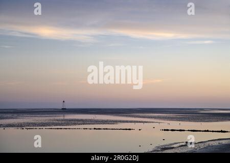 Mudflat, Pellworm Island, Schleswig-Holstein, Deutschland Stockfoto