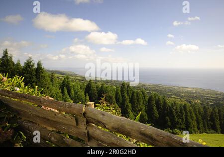 Blick von Pico do Carvao, westlicher Teil der Insel, Sao Miguel, Azoren, Portugal Stockfoto