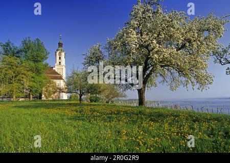 Wallfahrtskirche im Frühling, Unteruhldingen, Bodensee, Baden-Württemberg, Deutschland Stockfoto