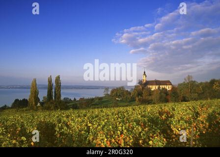 Blick über die Weinberge in der Wallfahrtskirche der Abtei Birnau, Bodensee, Baden-Württemberg, Deutschland Stockfoto