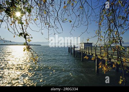 Steg am Seeufer im Sonnenlicht, Bodensee, Bayern, Deutschland Stockfoto