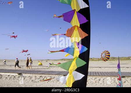 Drachen am Strand, St. Peter-Ording, Schleswig-Holstein, Deutschland Stockfoto